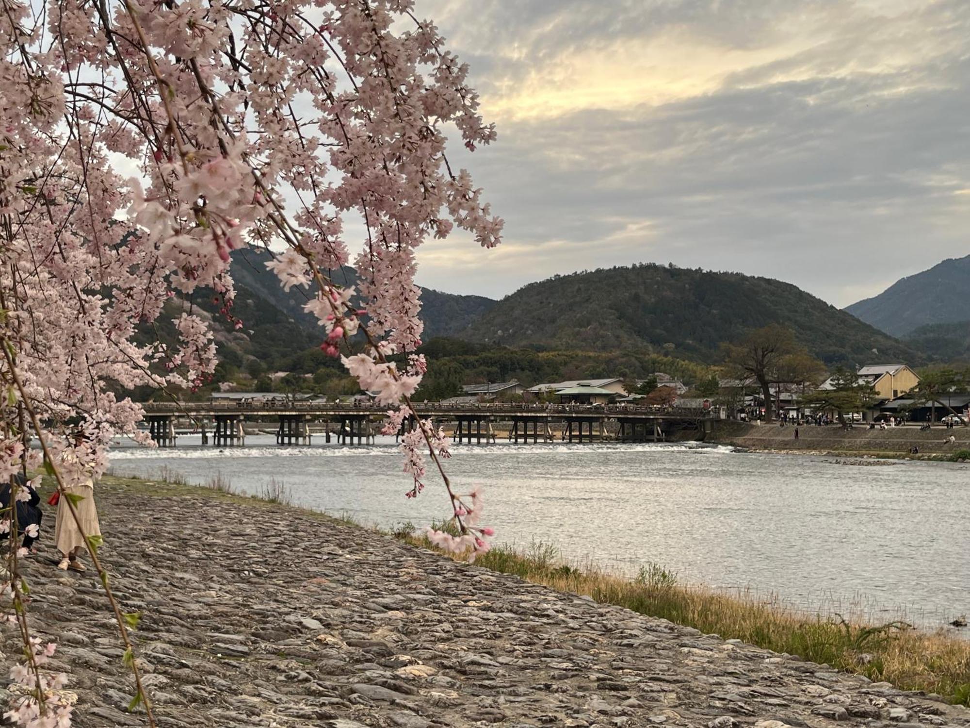 嵐山 天龍の宿 駐車無料 一棟貸切 最大5人 Dragon Legend Arashiyama Central Private Rare Modern Villa Free Parking Max 5Ppl Shimo-saga Exterior foto